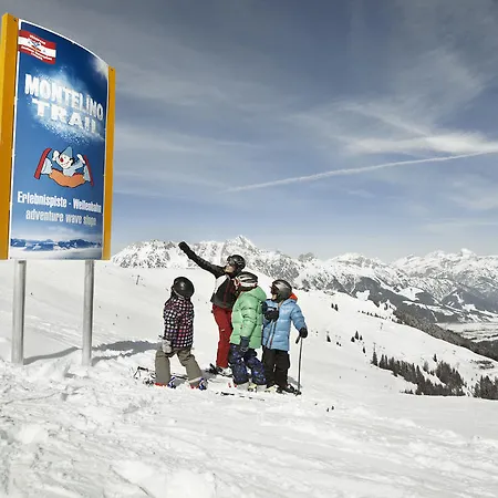 Fitaniki Σπίτι διακοπών Leogang
