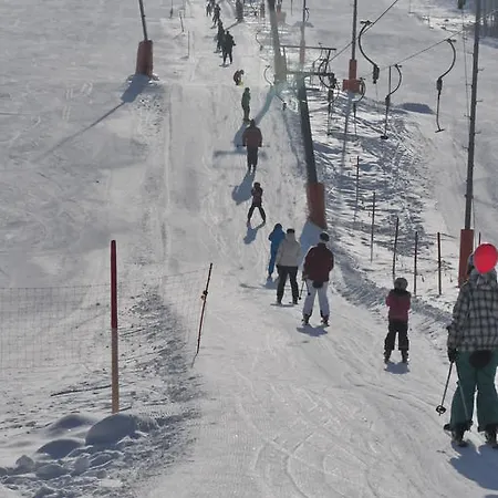 Dom wakacyjny Fitaniki Leogang